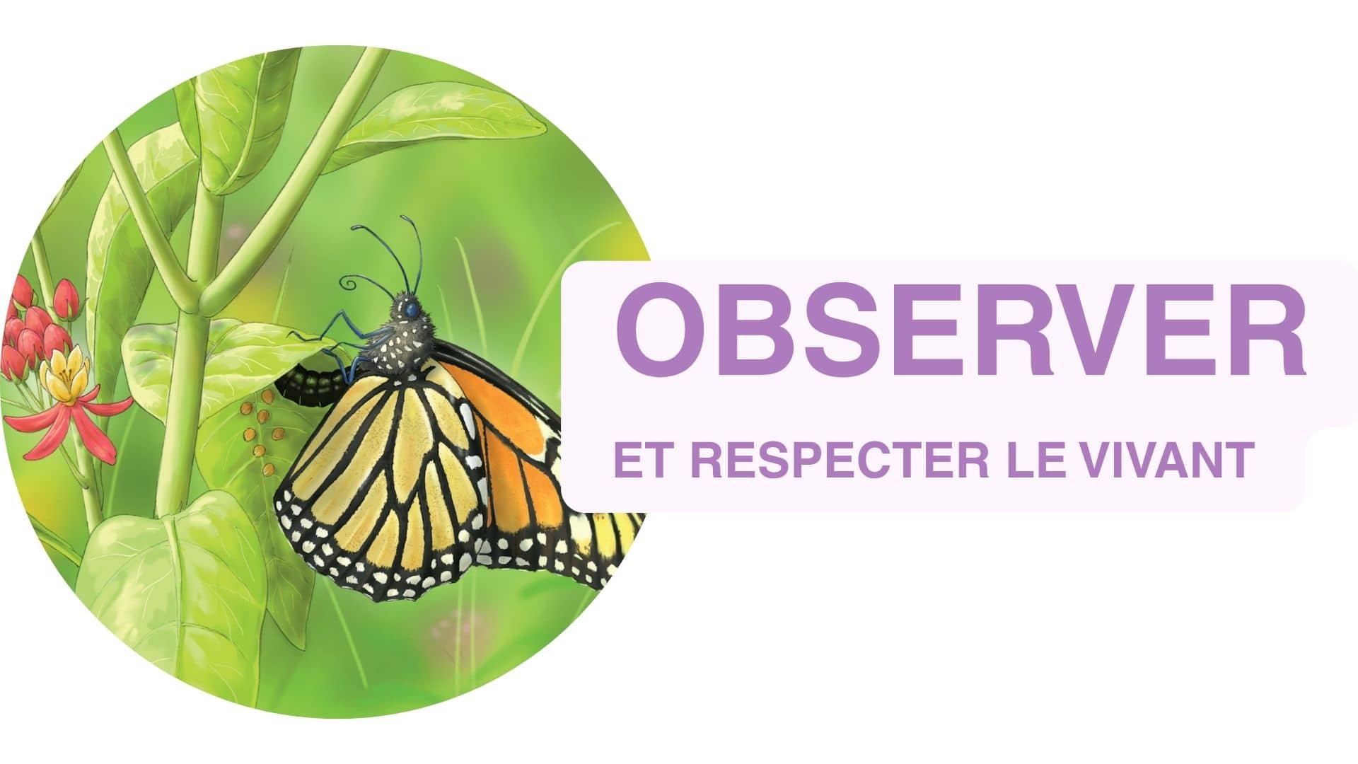 la vie secrete des animaux
